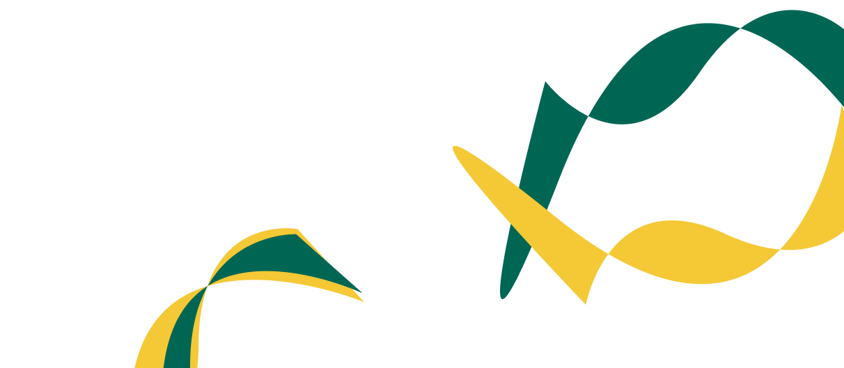 Expert Solutions for Corporate  Financial Success. - 爱游戏